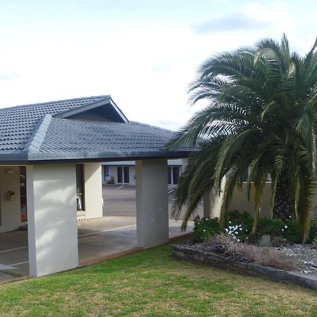 Stagecoach Inn Motel Tamworth Esterno foto